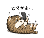 842805147
