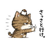 842805155