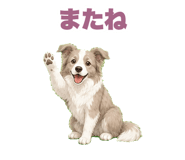 842808811