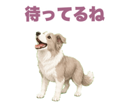 842808814