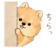 842810598