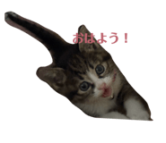 842811522