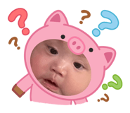 842811753