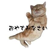842811834