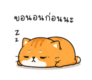842812315