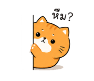 842812317
