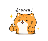 842812330