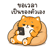842812331