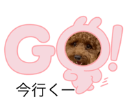 842812356