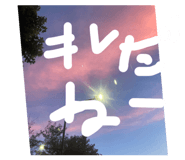 842812382