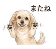 842812422