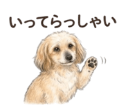 842812430