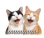 842812475