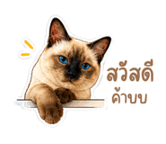 842812932