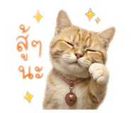 842814330
