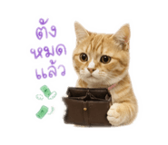 842814339