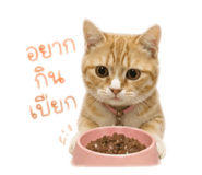 842814340