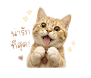842814343