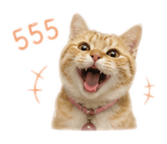 842814350
