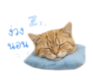 842814352