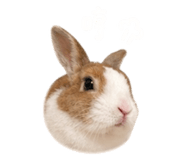 842814455