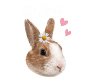 842814456