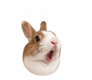 842814457