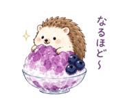 842816224