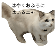 842816895