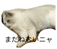 842816896