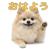 842816964