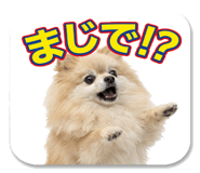 842816996