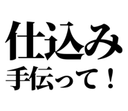 842817995