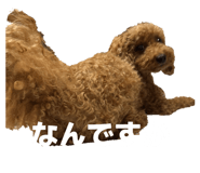 842818306