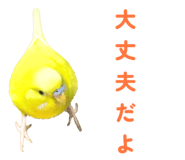 842819106