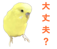 842819108