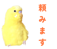 842819109