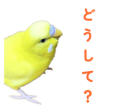 842819111