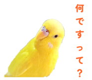 842819112