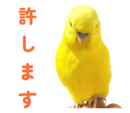 842819113