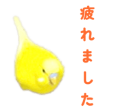 842819114
