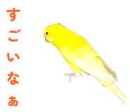 842819115