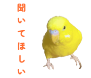 842819116