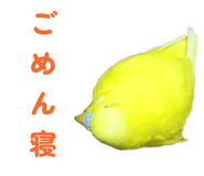 842819117