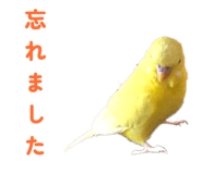 842819118