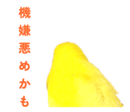842819120