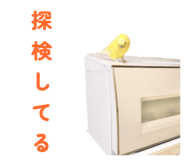 842819122