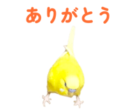 842819125