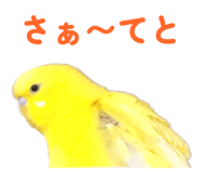 842819126
