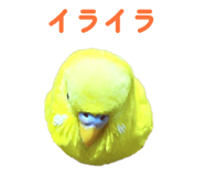 842819127